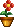 Plant_Flower_A